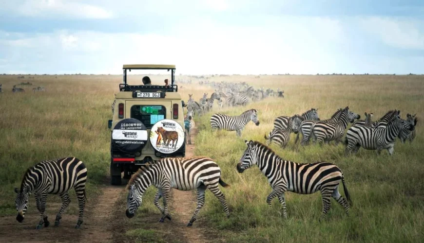 The Ultimate Cheat Sheet on Travel